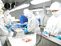工場案内